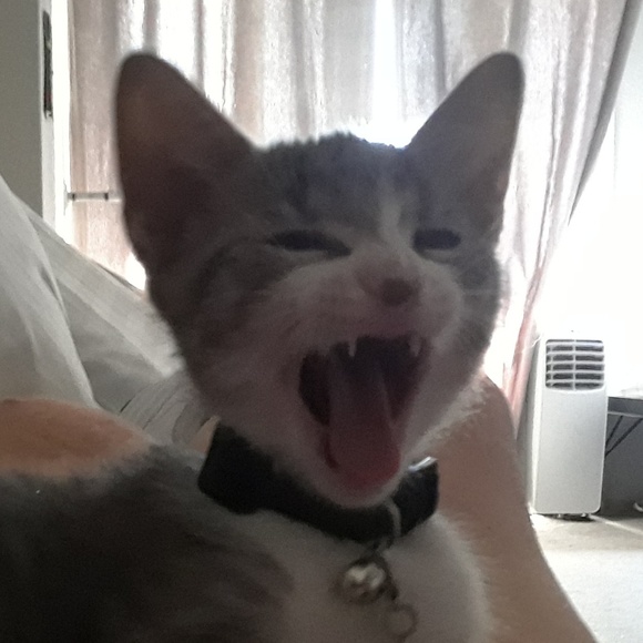 Boy, I remember that haircut like it was yesterday... - Picture 4 of 5